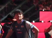 开云平台-韩国队碾压日本队，张本智和状态火热