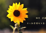 开云体育入口-锋刃与坚盾，卢卡库的惊艳与AC米兰的防守哲学