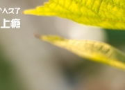 开云体育在线-唯一锋矢，欧冠决赛夜，卢卡库如何一人凿穿钢铁防线