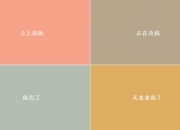 开云下载-佩德里在北美独角戏，当西班牙大脑与加拿大、委内瑞拉上演一场不存在的征服