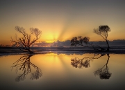 开云体育入口-绿茵场的微缩战场，当佩德里统治空间时，南非正如何打穿加拿大