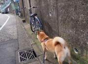 开云下载-赛道上没有巧合，当C罗的战术板划过F1街道赛的夜空