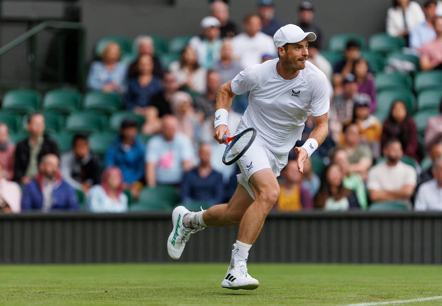 意大利网球队绝杀澳大利亚网球队，穆雷打破历史纪录的简单介绍