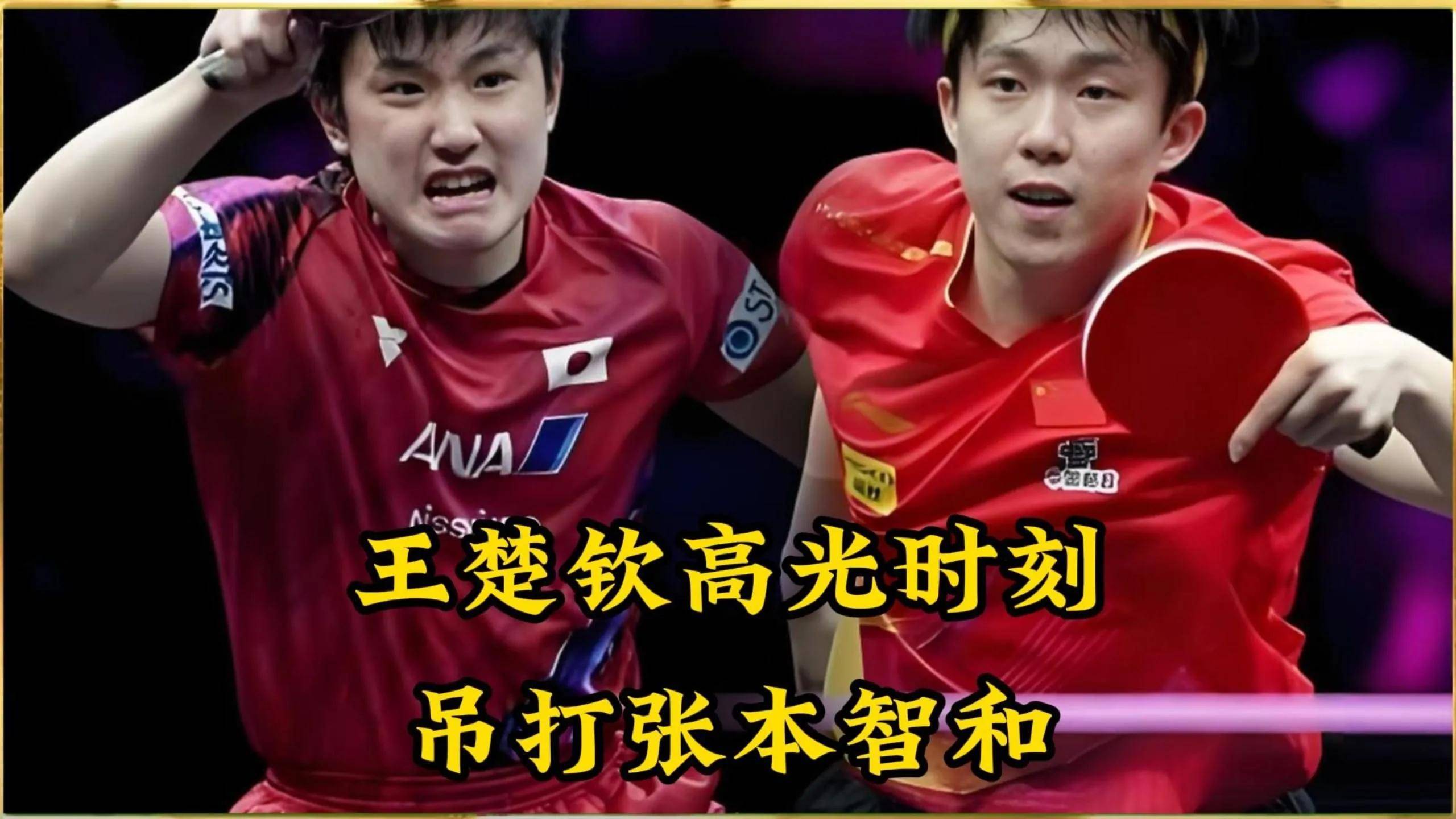 中国队力克德国队，张本智和关键制胜的简单介绍