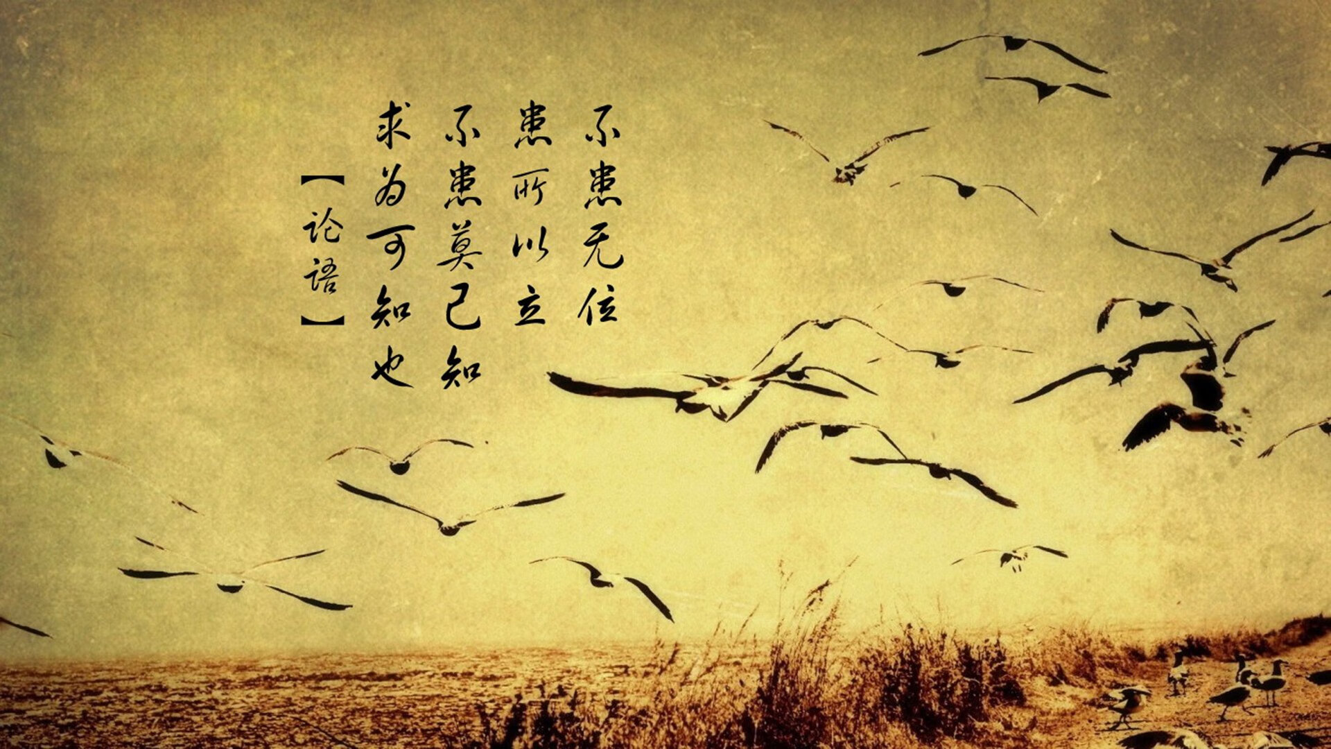 东决封神夜,杰伦·格林的终极进化与无法复制的唯一性