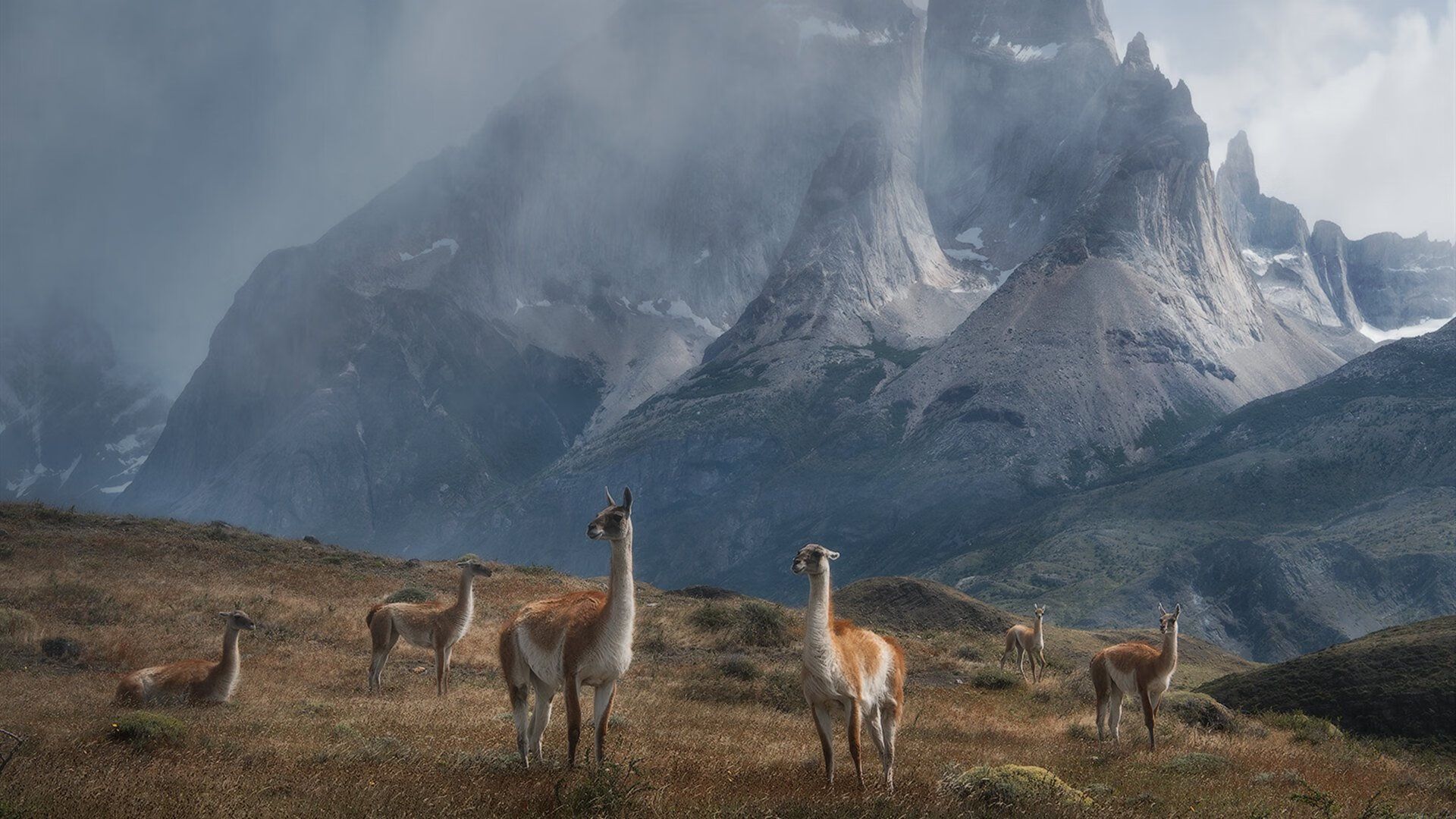 三色大地上的剑锋,卡塞米罗世界杯之夜一球定乾坤