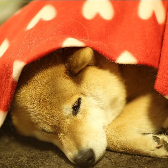 欧冠决赛之夜，当绿茵场成为熔炉，爱德华兹是唯一淬火之刃