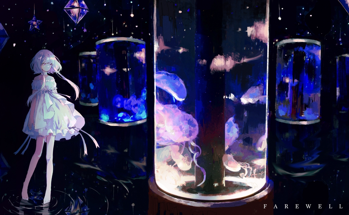 体系之智与天赋之焰，足球世界的双重奏