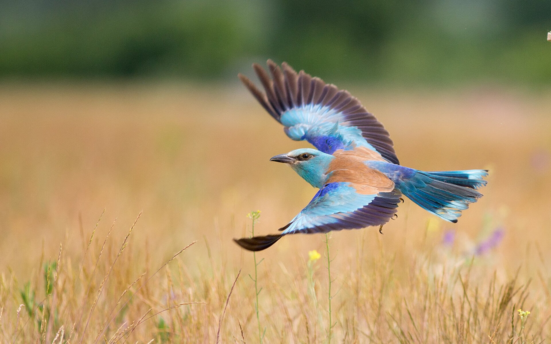 扩展思维后拟定的文章标题