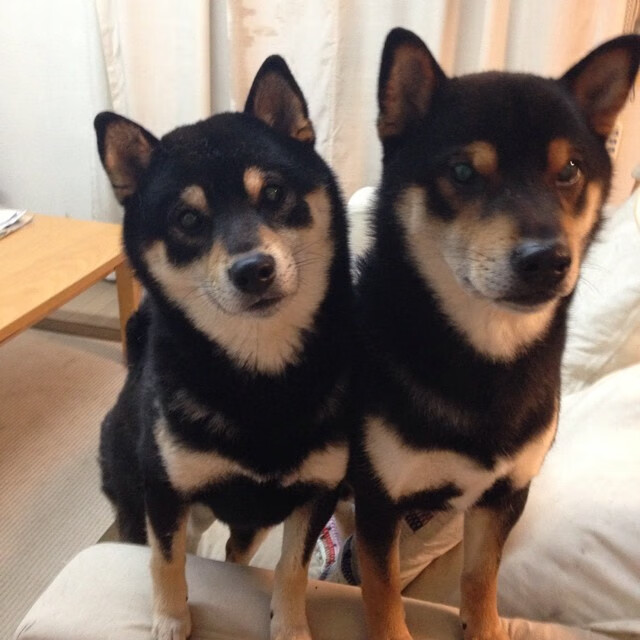 猛龙晋级夜，最高评分属于败方霍勒迪，当唯一输家赢得所有尊重