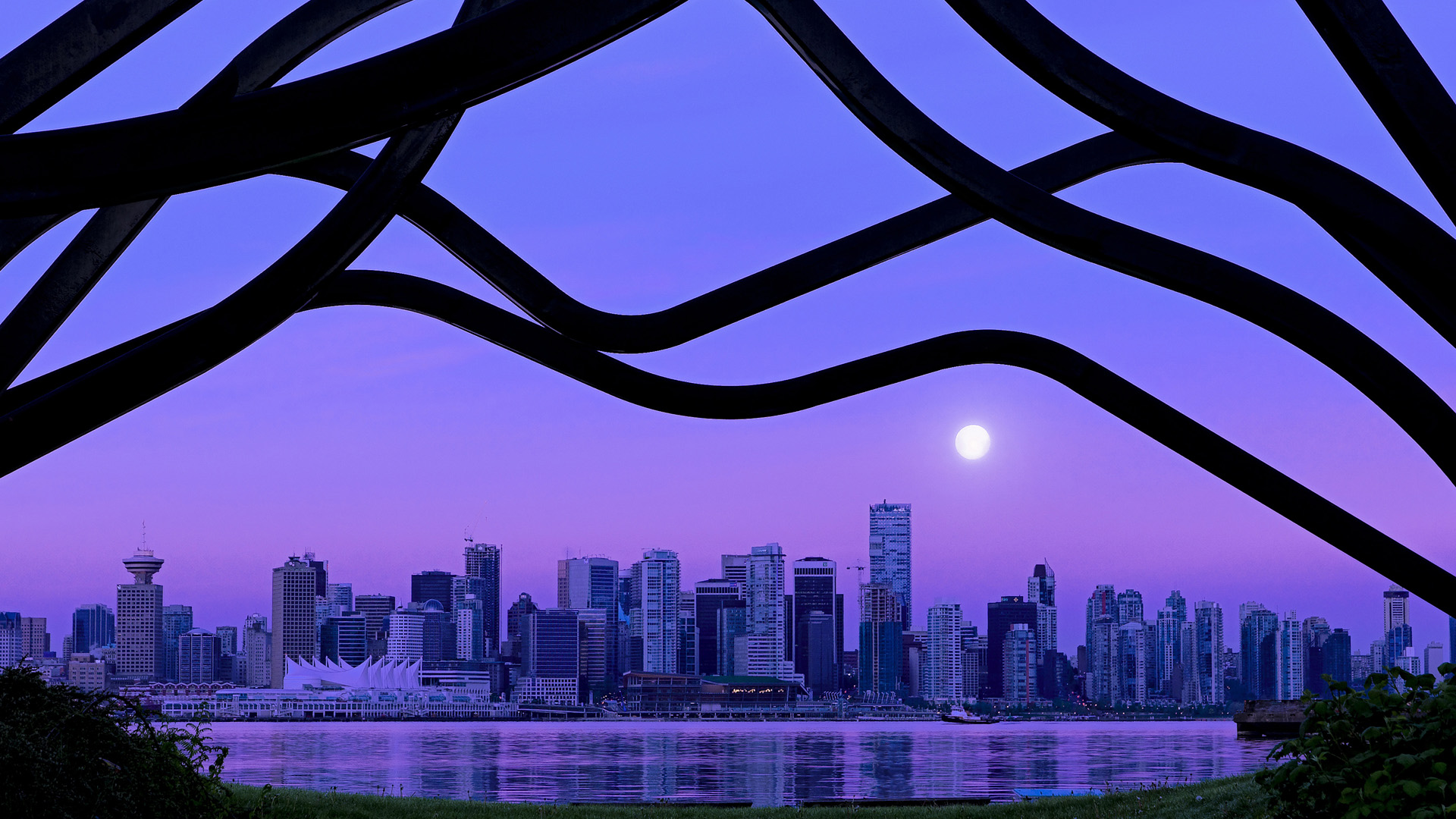 轮胎上的拳王，当武切维奇在揭幕战之夜让悬念提前退赛