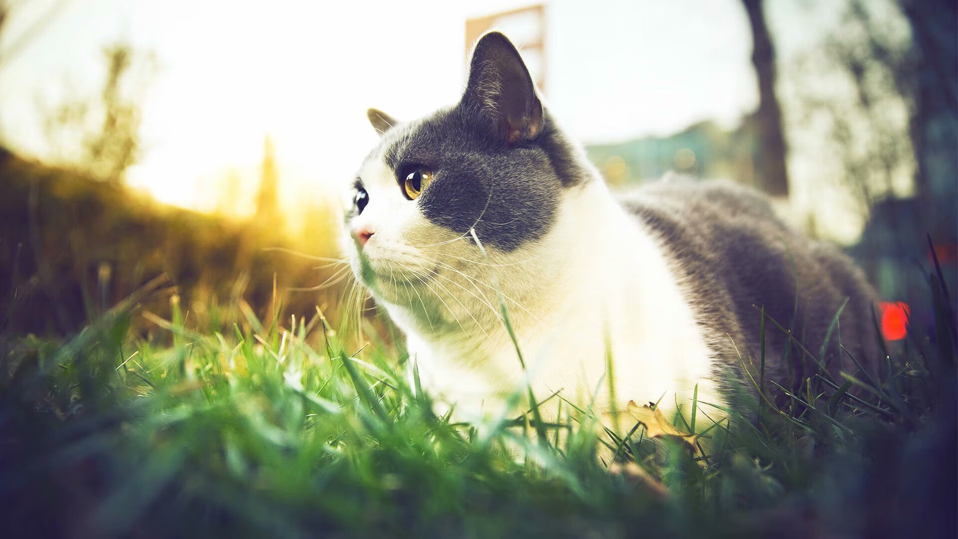 王朝更迭的终局之战，京辽对决铸就史诗一夜