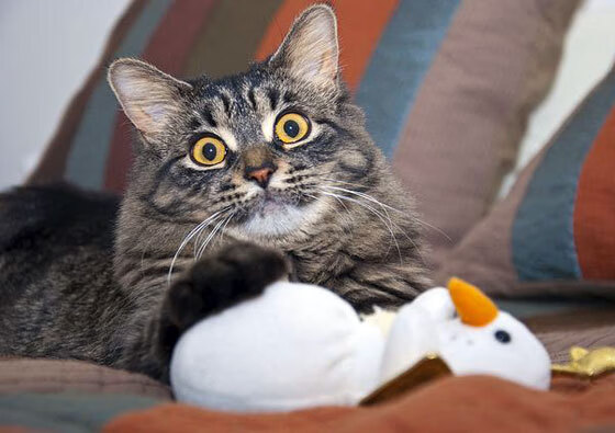 西甲国家德比之夜，当篮球飞向点球点，拉文在伯纳乌关键时刻站出来