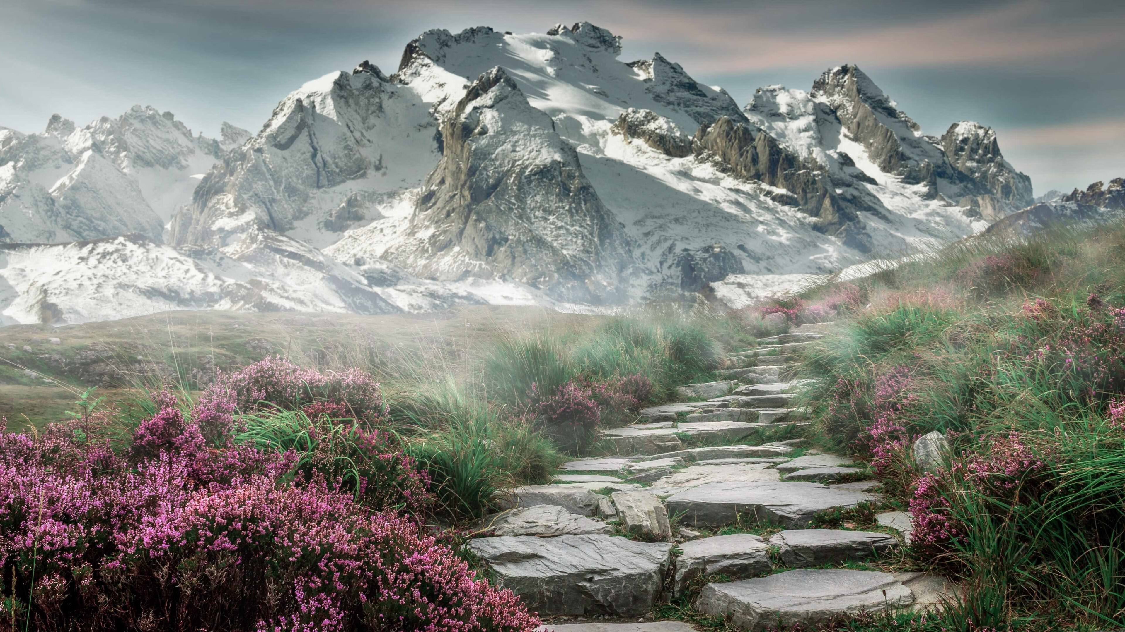 跨界王者，魔术末节逆转辽宁，恩比德精神照亮英超争冠战