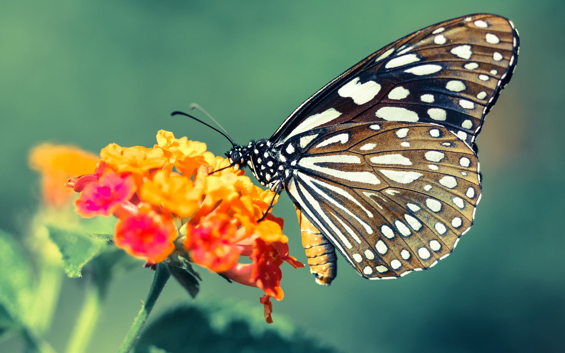 唯一性,阿圭罗于东北亚寒夜写下瑞典黄昏