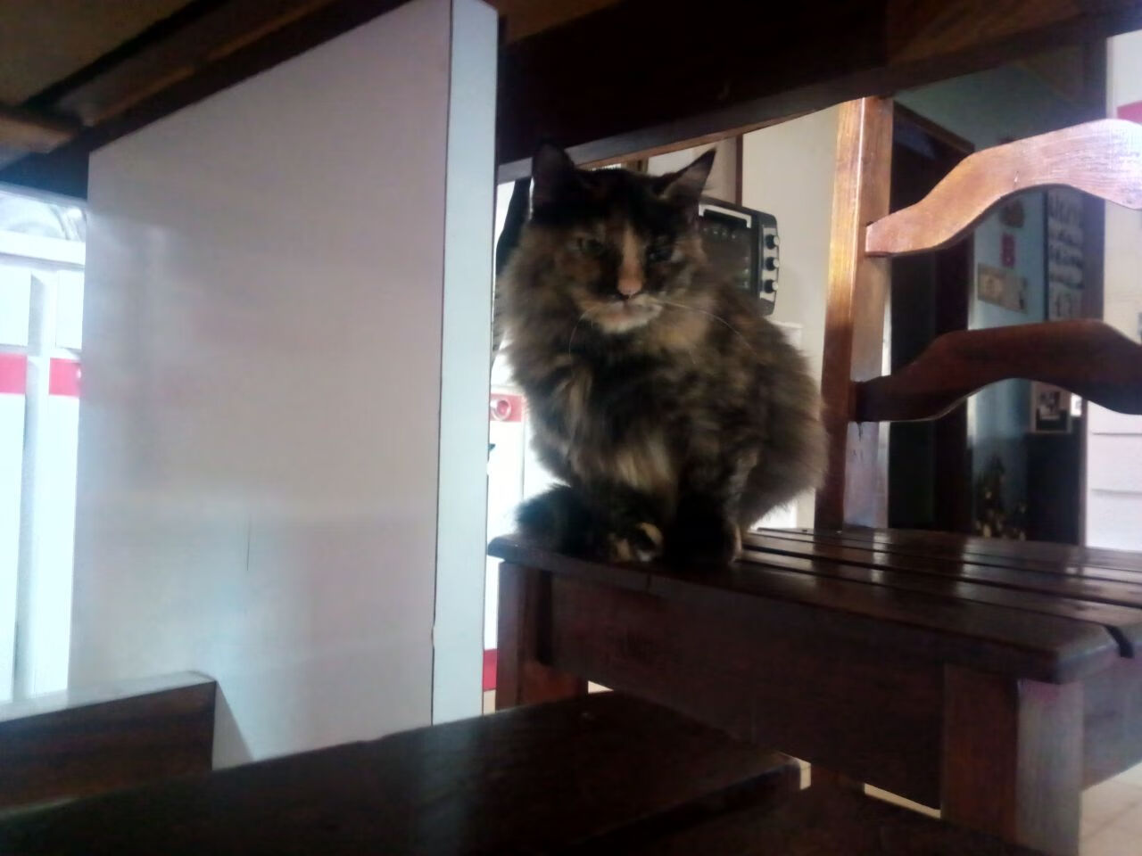 黄蜂刺敌记,哈登41分+16助攻上演大师级封印,北京队防线遭战术肢解