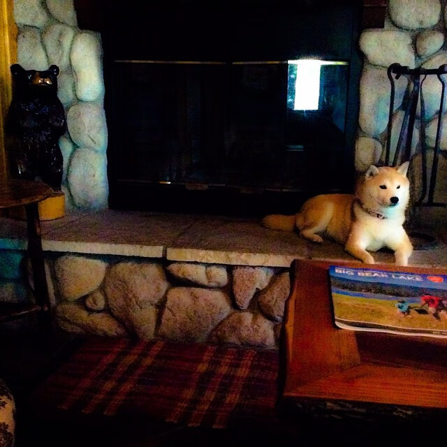 正午烈日与深夜星光，篮球的两种胜利美学