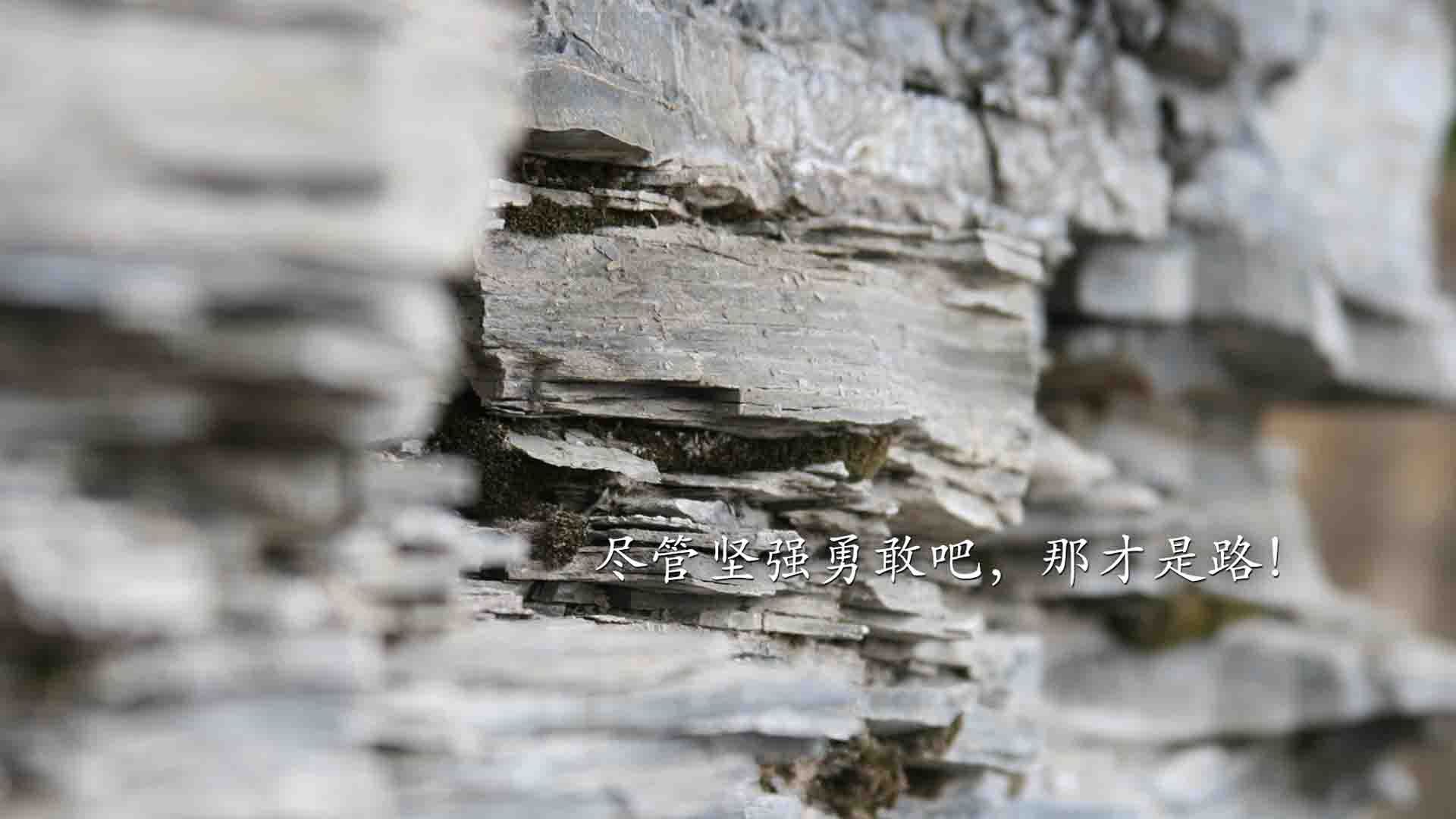 尼罗河畔的绿茵法老,布鲁诺在巴萨与埃及文明对垒中加冕